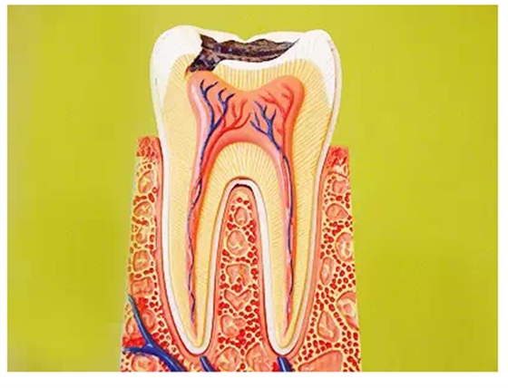 QQ圖片20150720142710.png QQ圖片20150720142710.png