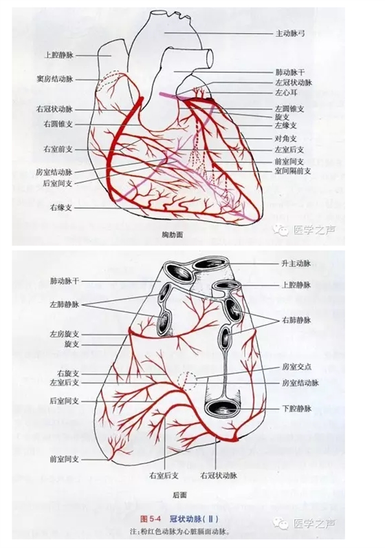 QQ圖片20150725105048.png