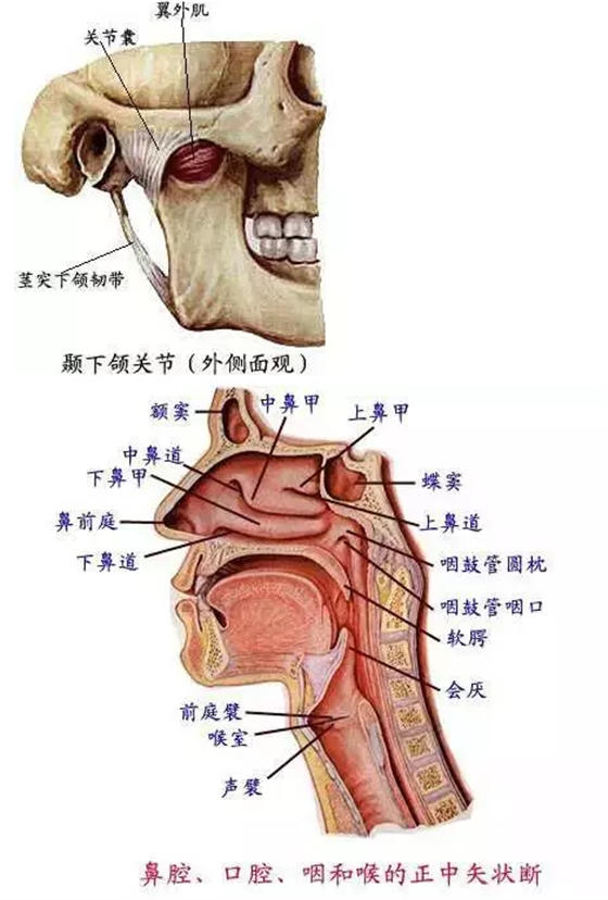 QQ圖片20150731101914.png