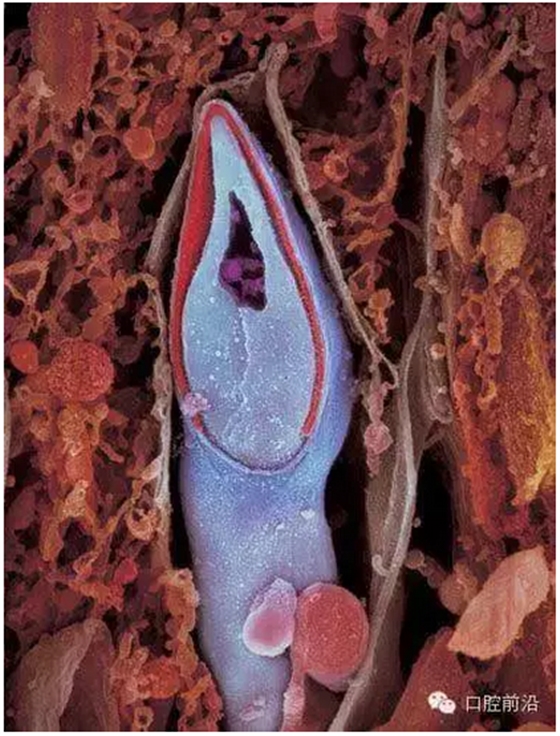 QQ圖片20150808105924.png QQ圖片20150808105924.png