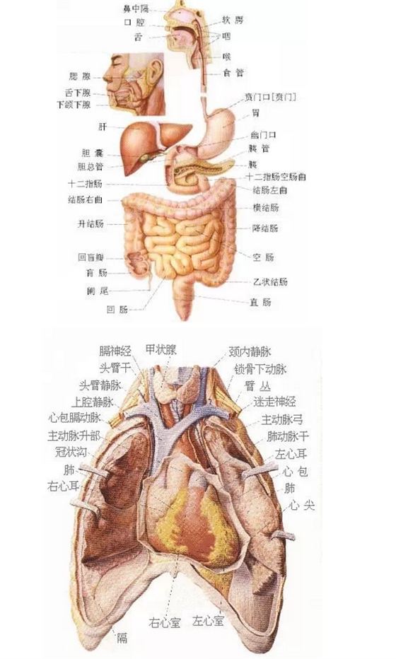 QQ圖片20150815170015.png