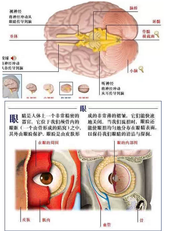 QQ圖片20150815170630.png