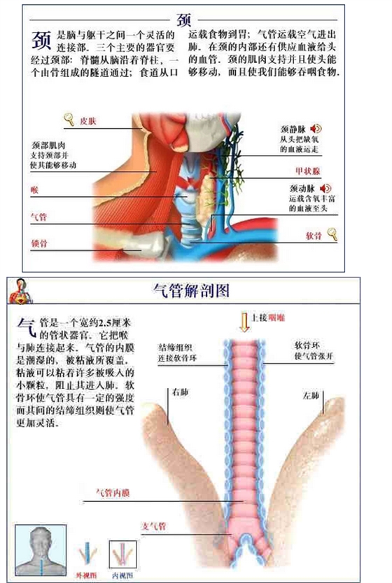 QQ圖片20150815170822.png