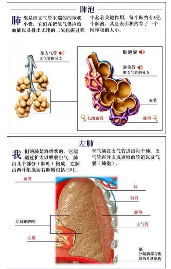 QQ圖片20150815170844.png