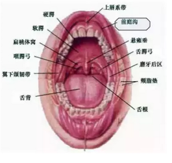 QQ圖片20150817104202.png