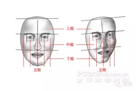 牙醫(yī)基礎(chǔ)知識(shí)：口腔頜面部應(yīng)用解剖生理