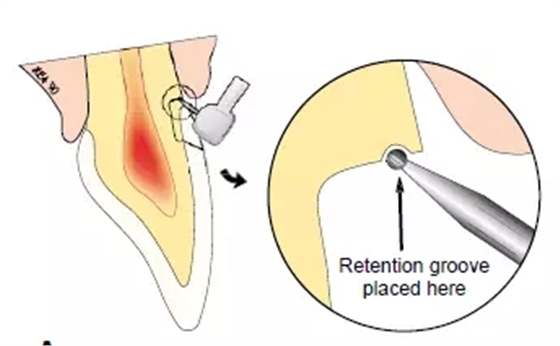 640.webp (1).jpg 640.webp (1).jpg