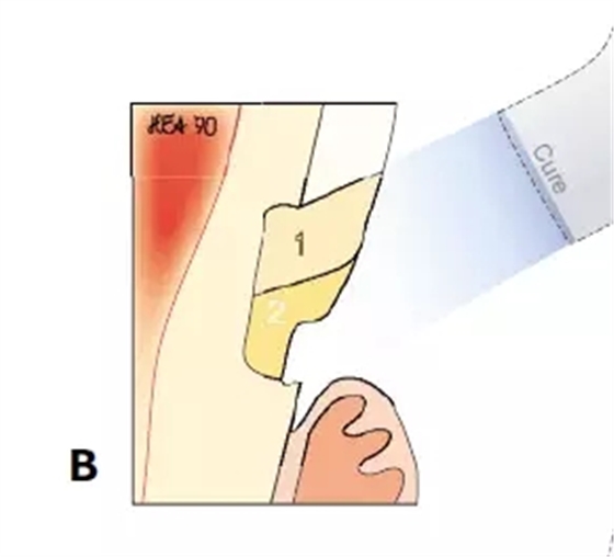 640.webp (7).jpg 640.webp (7).jpg