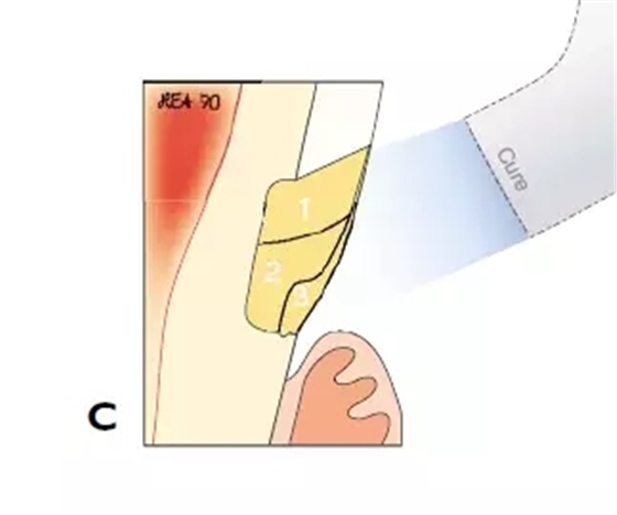 640.webp (8).jpg 640.webp (8).jpg