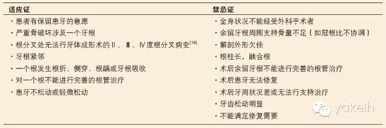 61.webp.jpg 61.webp.jpg