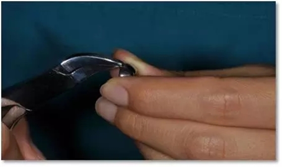 8.webp.jpg 8.webp.jpg