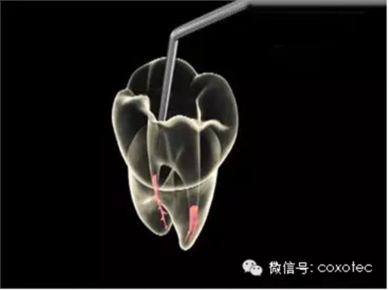 圖片8.png 圖片8.png