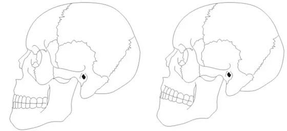 640.webp (16).jpg 640.webp (16).jpg