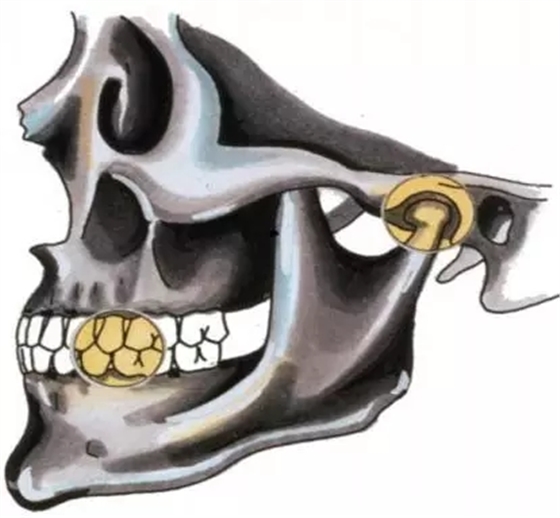 0.webp.jpg 0.webp.jpg