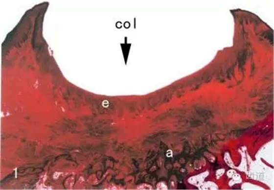 640 (1).webp (1).jpg 640 (1).webp (1).jpg