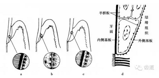 QQ圖片20160825170339.png QQ圖片20160825170339.png