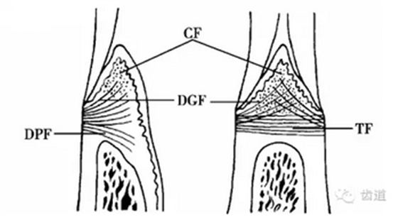 QQ圖片20160825170351.png QQ圖片20160825170351.png