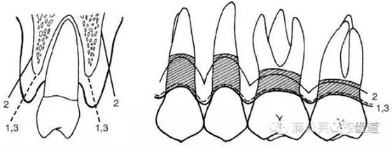 640.webp (17).jpg 640.webp (17).jpg