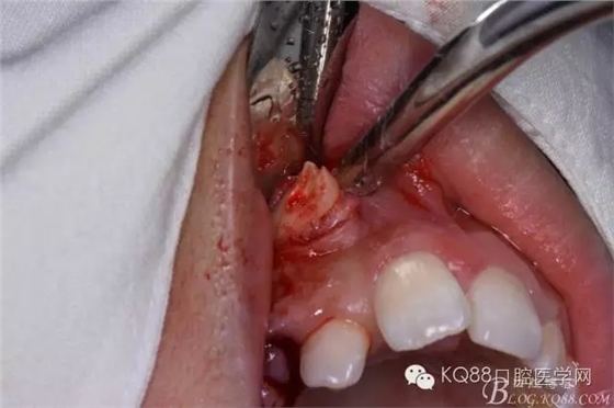 640.webp (12).jpg 640.webp (12).jpg