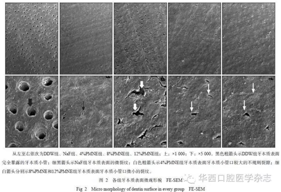 640.webp (15).jpg 640.webp (15).jpg