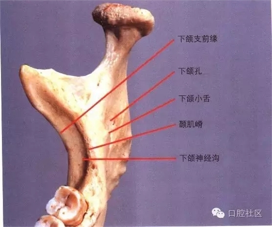 口腔醫(yī)生必讀：“急診搶救”預(yù)案