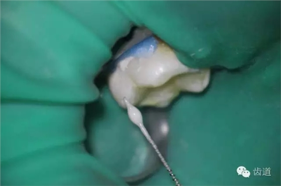 640.webp (21).jpg 640.webp (21).jpg