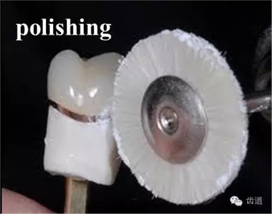 640.webp.jpg 640.webp.jpg