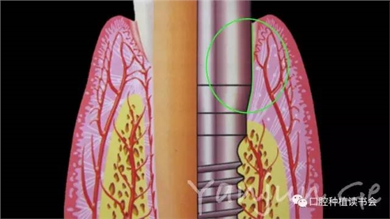 640 (3).jpg 640 (3).jpg