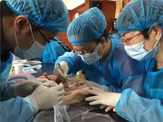 640.webp (6).jpg 640.webp (6).jpg