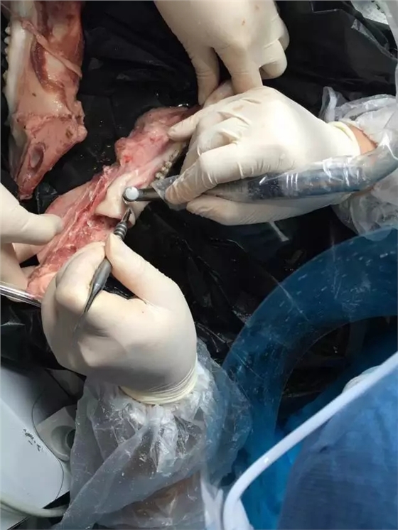 640.webp (7).jpg 640.webp (7).jpg