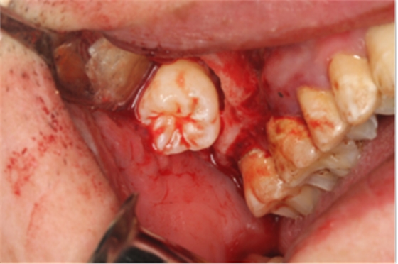 51477648348784_party5.png 51477648348784_party5.png