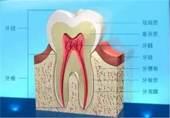 360截圖20170422110315594.jpg 360截圖20170422110315594.jpg