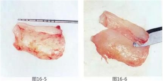 360截圖20170422141944464.jpg 360截圖20170422141944464.jpg