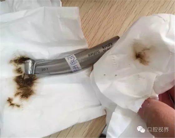 1.webp.jpg 1.webp.jpg