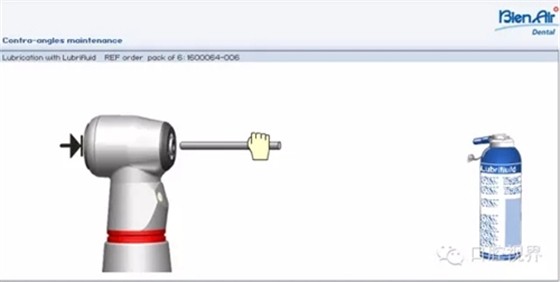 12.webp.jpg 12.webp.jpg