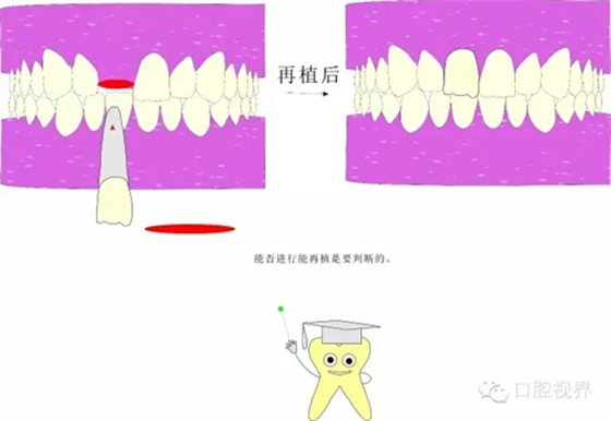 2.webp.jpg 2.webp.jpg