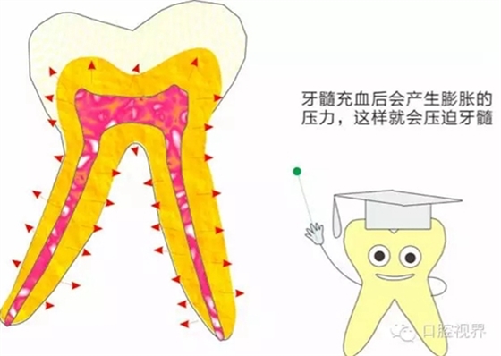 【愛牙科普知識(shí)300問】 “什么是牙齦萎縮？”