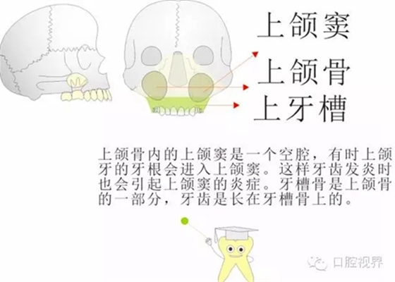 2.webp.jpg 2.webp.jpg