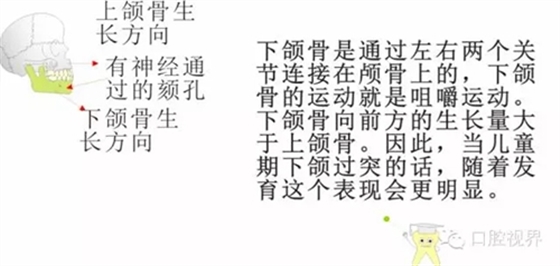 3.webp.jpg 3.webp.jpg