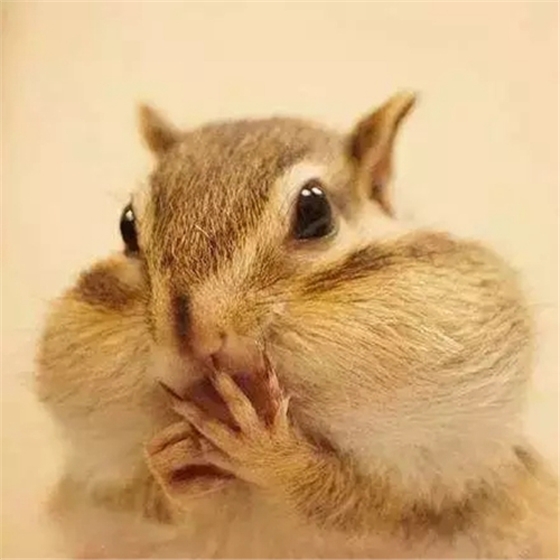 6.webp.jpg 6.webp.jpg