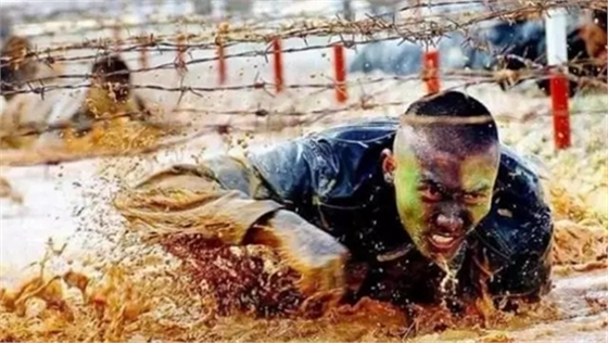 1.webp (1).jpg 1.webp (1).jpg