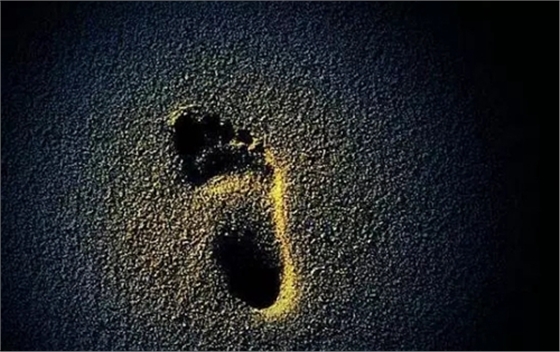 2.webp (1).jpg 2.webp (1).jpg