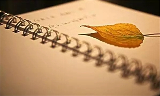 3.webp.jpg 3.webp.jpg