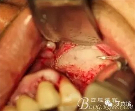 1.webp.jpg 1.webp.jpg