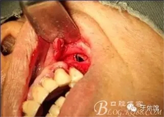 7.webp.jpg 7.webp.jpg