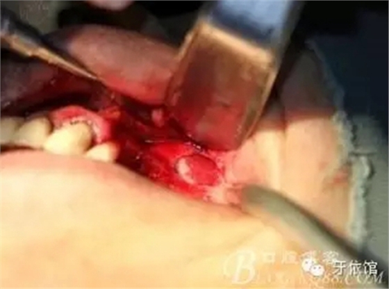 10.webp.jpg 10.webp.jpg