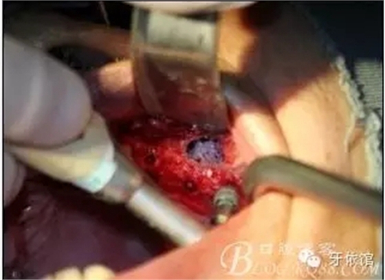 13.webp.jpg 13.webp.jpg