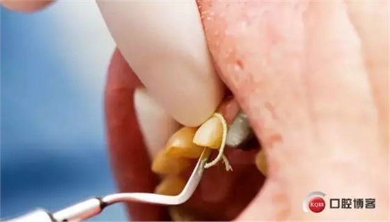 5.webp.jpg 5.webp.jpg