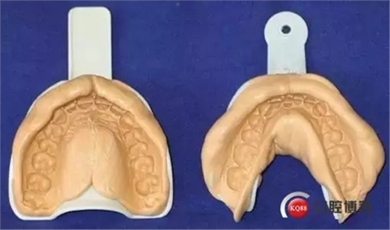 24.webp.jpg 24.webp.jpg