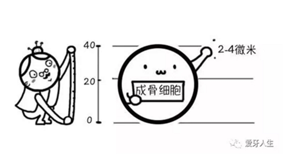 如何選擇種植牙，給《患者》推薦這篇文章就足矣